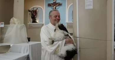 Un sacerdote amoroso convierte los servicios de la iglesia en ferias de adopción para perros callejeros (21 nuevas fotos)