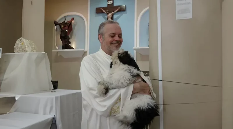 Un sacerdote amoroso convierte los servicios de la iglesia en ferias de adopción para perros callejeros (21 nuevas fotos)