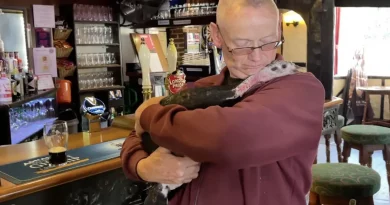 Un Hombre Lleva a Su Pavo a Todas Partes: Compañeros Inseparables Incluso en el Pub y Durmiendo en Casa