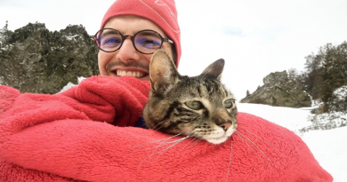 Una gata ama salir de paseo, así que su dueño le hizo un casco y ahora es toda una motera