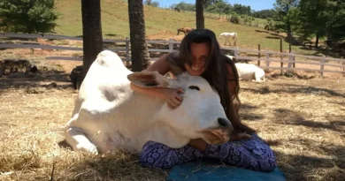 Una Mujer Calma a los Animales Rescatados Cantándoles, y Se Derriten en Sus Brazos