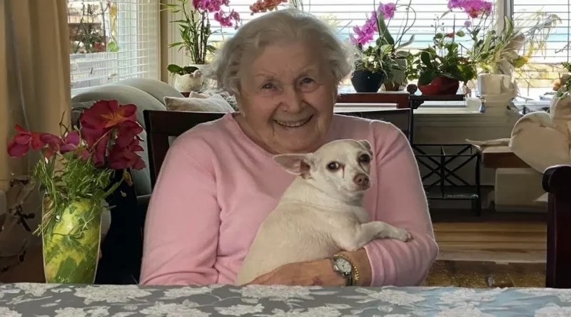 “Gucci trajo alegría a la casa”: Perro no deseado de 11 años adoptado por una mujer de 100 años