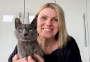 Gato Desaparecido Durante Cinco Semanas Encontrado Atrapado Bajo el Piso de un Vecino Tras Escuchar Maullidos
