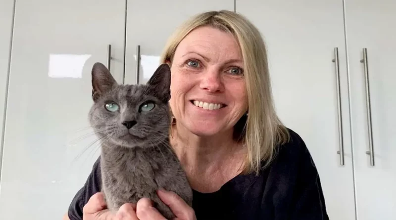 Gato Desaparecido Durante Cinco Semanas Encontrado Atrapado Bajo el Piso de un Vecino Tras Escuchar Maullidos