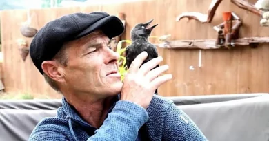 El Hombre y Este Ave Silvestre Tienen un Vínculo Adorable Tras un Encuentro Casual en la Carretera