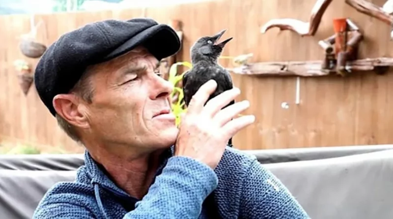 El Hombre y Este Ave Silvestre Tienen un Vínculo Adorable Tras un Encuentro Casual en la Carretera