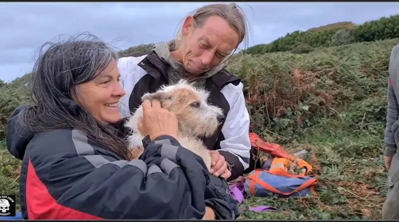 Mira el Momento en que un Perro es Rescatado por Voluntarios Tras Pasar 26 Horas en un Antiguo Pozo Minero