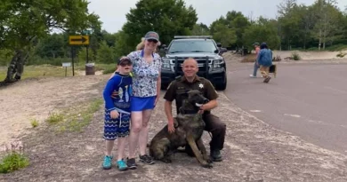 Perro Policía Entrenado para Encontrar Armas Realiza una Misión Especial de Encontrar un Anillo de Boda Perdido en una Playa Arenosa