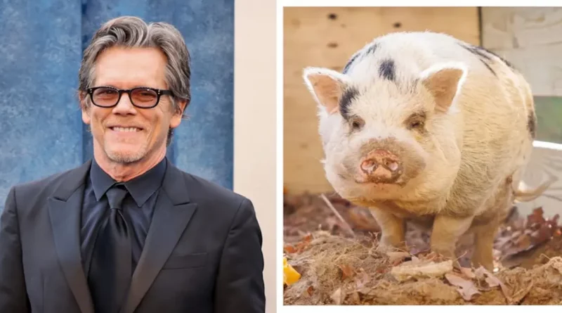 Cerdito llamado Kevin Bacon reunido con sus dueños después de la ayuda del actor Kevin Bacon