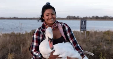 Observadora de Aves Ve un Cisne Enfermo en NYC y lo Envuelve para un Viaje de 37 Kilómetros a Través de la Ciudad para Salvarle la Vida