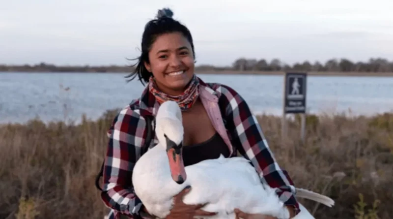 Observadora de Aves Ve un Cisne Enfermo en NYC y lo Envuelve para un Viaje de 37 Kilómetros a Través de la Ciudad para Salvarle la Vida