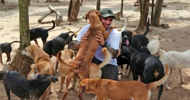 Hombre Abre Su Hogar para Refugiar a 300 Perros de un Huracán: ‘No importa si la casa está sucia’