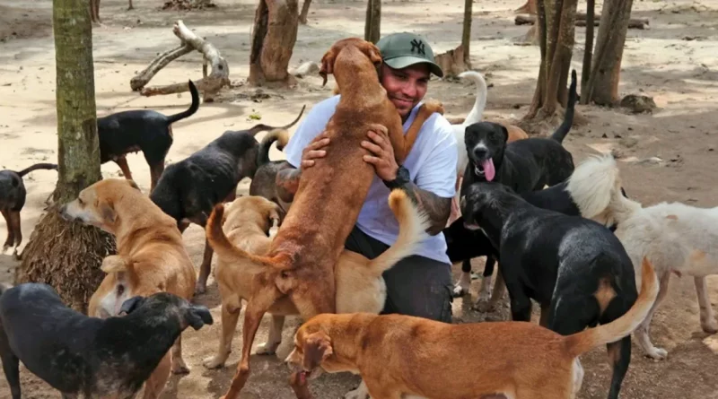 Hombre Abre Su Hogar para Refugiar a 300 Perros de un Huracán: ‘No importa si la casa está sucia’