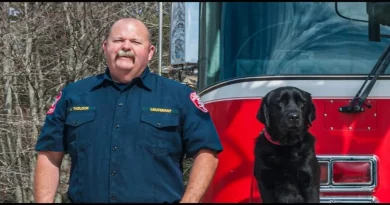 Sheldon, el perro que no logró superar el entrenamiento de animales de servicio, pero se convirtió en un experto en detectar incendios intencionados