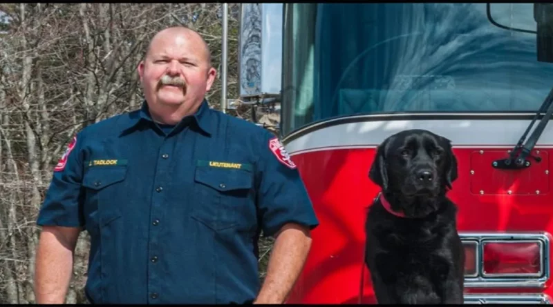 Sheldon, el perro que no logró superar el entrenamiento de animales de servicio, pero se convirtió en un experto en detectar incendios intencionados