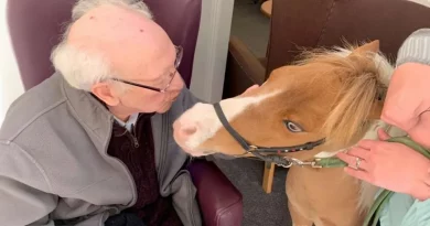 Residentes de una Residencia para Ancianos con Demencia Disfrutan de un Invitado Muy Especial Cuando las Visitas Están Restringidas: un Caballo en Miniatura