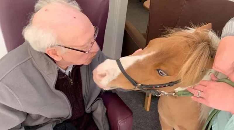 Residentes de una Residencia para Ancianos con Demencia Disfrutan de un Invitado Muy Especial Cuando las Visitas Están Restringidas: un Caballo en Miniatura