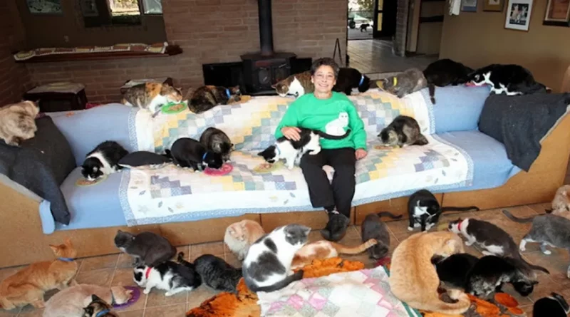 Lo único loco acerca de esta señora de los gatos es el número de felinos que ha rescatado: 28,000