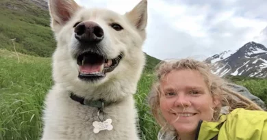 Husky rescata a excursionista sorda después de que se precipitara 213 metros, y no es la primera vez que salva a un extraño en Alaska