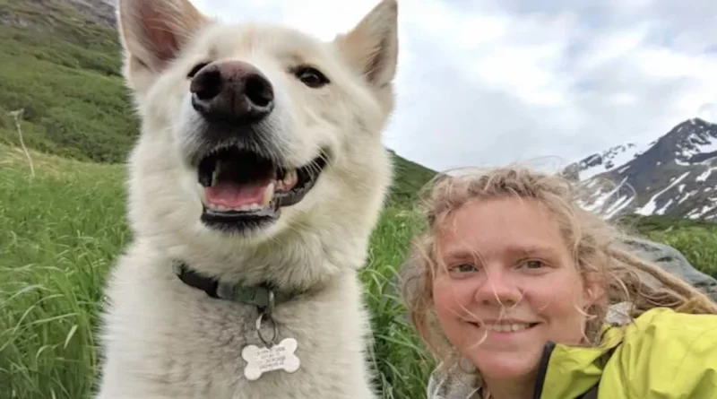 Husky rescata a excursionista sorda después de que se precipitara 213 metros, y no es la primera vez que salva a un extraño en Alaska