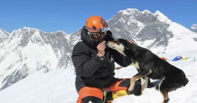 Cachorro Callejero en Nepal Sigue a Escaladores de Montaña hasta la Cima en una Hazaña Increíble – Tal vez el Récord Mundial para un Perro