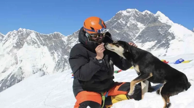 Cachorro Callejero en Nepal Sigue a Escaladores de Montaña hasta la Cima en una Hazaña Increíble – Tal vez el Récord Mundial para un Perro