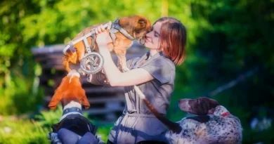 Mujer Deja una Exitosa Carrera en la Ciudad para Vivir en el Bosque con Más de 100 Animales Rescatados