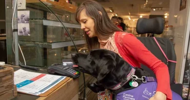 Un Perro de Servicio Que Puede Traer Comida, Ropa y Pagar por las Compras Ha Transformado la Vida de Esta Mujer