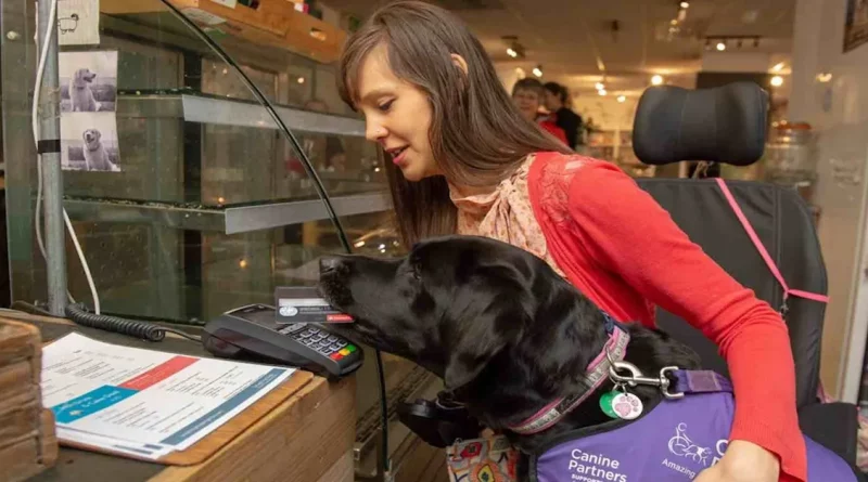 Un Perro de Servicio Que Puede Traer Comida, Ropa y Pagar por las Compras Ha Transformado la Vida de Esta Mujer