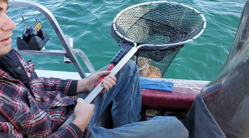 Familia de Pescadores Sorprendida al Rescatar a un Joven Lince a Punto de Ahogarse en Medio de un Lago