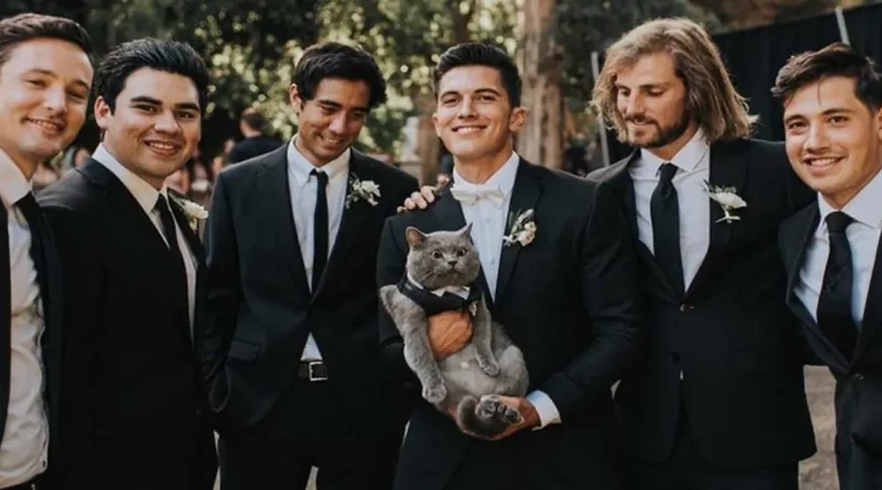 Este gato ‘relajado’ fue el padrino en la boda de su dueño, ¡y las fotos son purrrfectas!