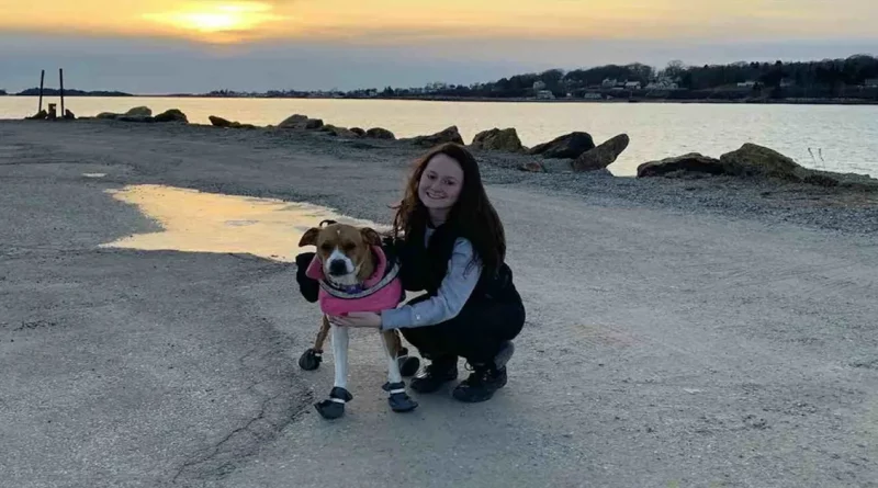 La Chica Que Podría Morir por Cualquier Olor Fuerte Es Salvada por un Perro Especialmente Entrenado