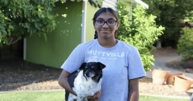 Adolescente Abandonada al Nacer Ahora Recauda Dinero para Dar Amor a Perros Ancianos Tal Como Ella Lo Encontró en un Hogar Permanente