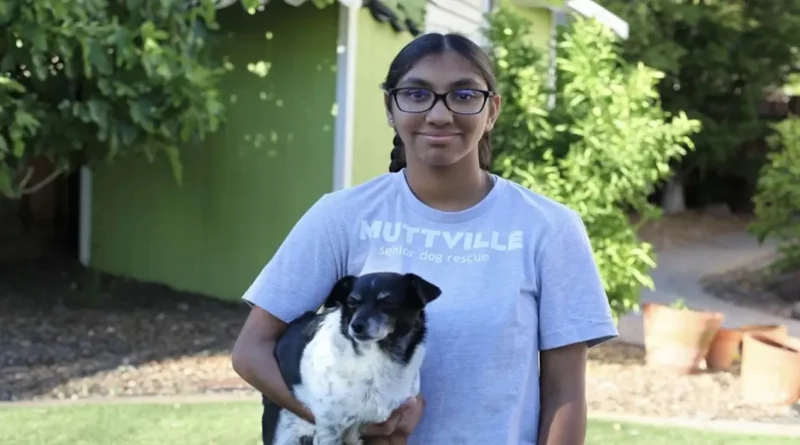 Adolescente Abandonada al Nacer Ahora Recauda Dinero para Dar Amor a Perros Ancianos Tal Como Ella Lo Encontró en un Hogar Permanente