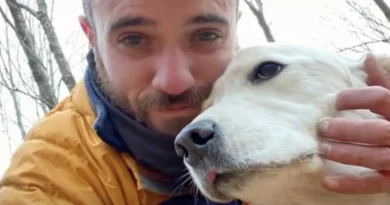 Este Perro se Perdió en el Bosque Durante 10 Días con una Tormenta Invernal en Camino – Pero un Dron lo Salvó