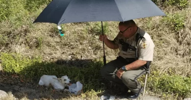 Una Mujer Queda Conmovida Por La Amabilidad De Un Policía Hacia Un Perro Abandonado Durante Una Ola De Calor