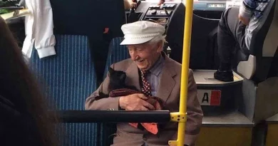 Esta Foto de un Anciano y Su Gatito Está Alegrando el Día de Todos