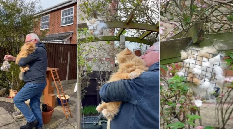 Papá de gatos deja el pelo de sus adorables mascotas en el jardín por una razón conmovedora