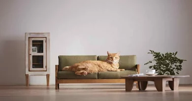 Esta Adorable Colección de Muebles en Miniatura Fue Diseñada Solo Para Gatos