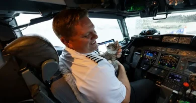 Piloto adopta a un gato callejero en pleno vuelo durante la evacuación por huracán