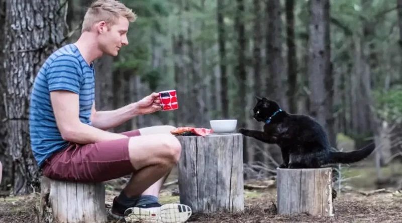 Hombre deja su aburrido trabajo para explorar Australia con un gato y una furgoneta camper, tras una mala ruptura