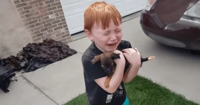 Un niño pequeño llora de alegría cuando su familia lo sorprende con un cachorro