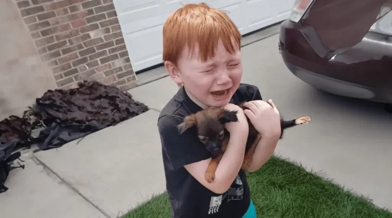 Un niño pequeño llora de alegría cuando su familia lo sorprende con un cachorro