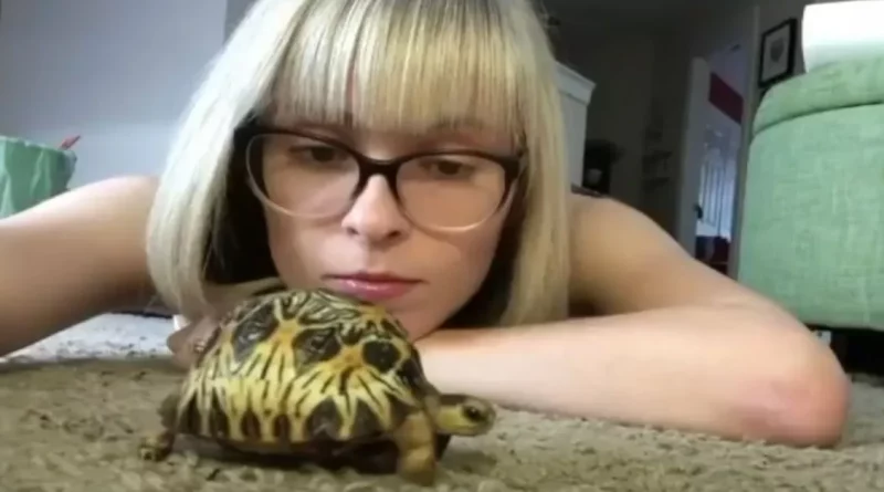 Mujer dedica 3 años al cuidado de una tortuga su “alma gemela” y tiene una historia notable que contar