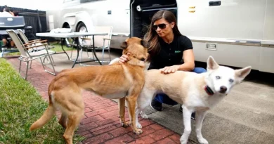 ¡Ay! Danica Patrick recibe arañazos mientras salvaba a su perro de un coyote