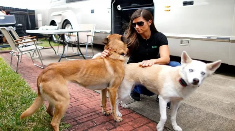 ¡Ay! Danica Patrick recibe arañazos mientras salvaba a su perro de un coyote