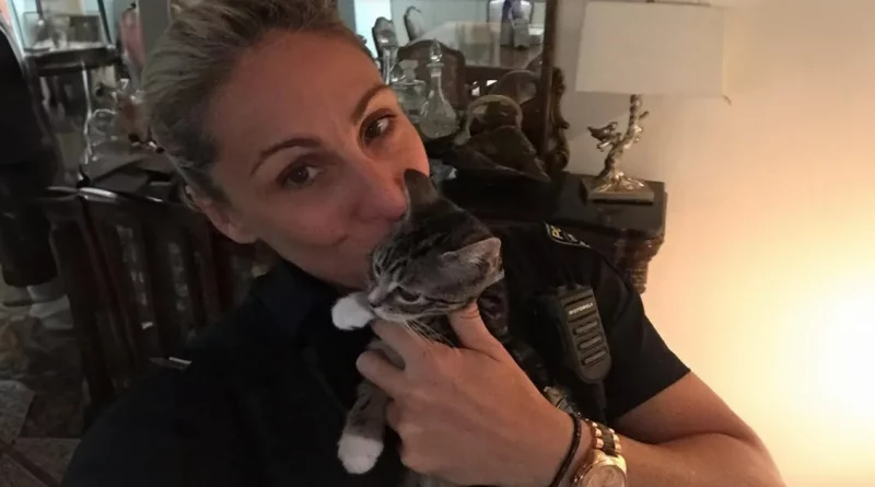 Policía rescata y encuentra hogar para 63 gatitos porque es ‘más barato que tener hijos’