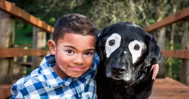 Niño avergonzado por su condición de piel se emociona al conocer a un perro con la misma