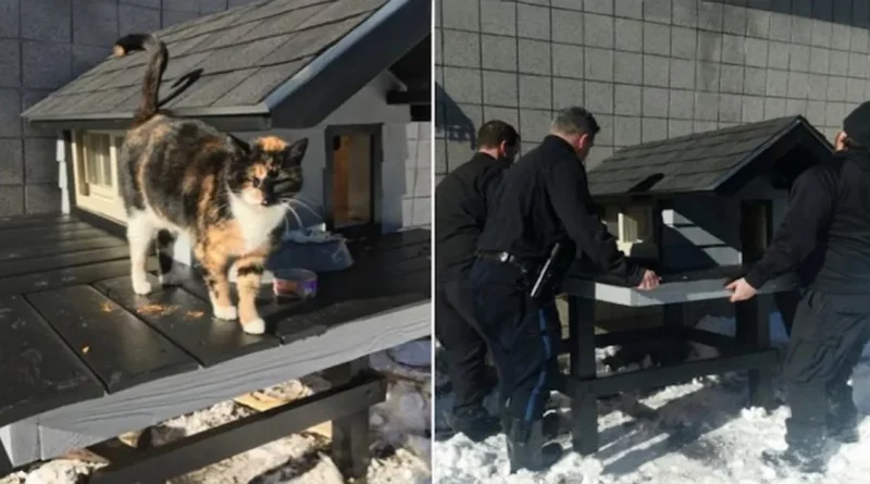 La policía construye un condominio para una gata que ha visitado el departamento durante 3 años