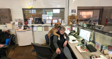 Sillones Cómodos Llegan al Refugio de Animales para que Cada Mascota Tenga su Lugar